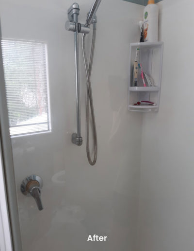 Pristine Shower Clean after shower clean service removed and prtect against shower scum and scale